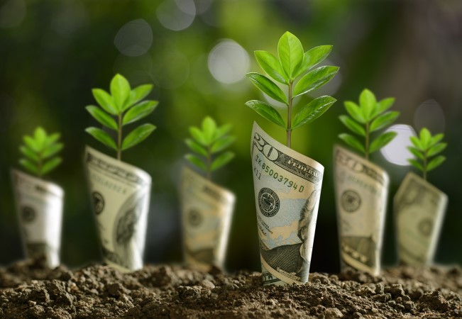 12-Month Certificate of Deposit